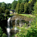 Webster Falls